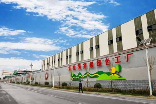 柔柔纺织品有限公司，绿色环保与高质量的纺织品之路