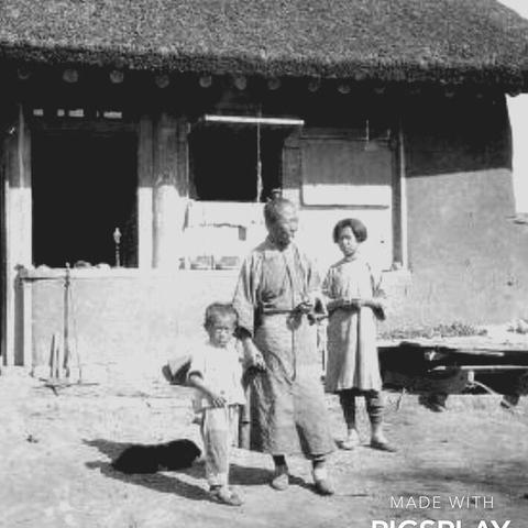 黑龙江纺织品牌排名榜