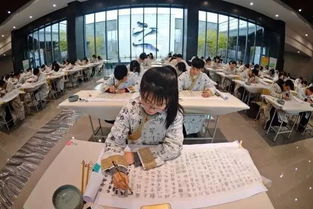绍兴友浩纺织品厂，精湛工艺与绿色环保的完美融合