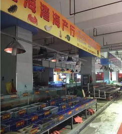 海口针纺织品批发市场位置详解