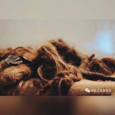 犹太人纺织品生意，多元文化与商业传奇