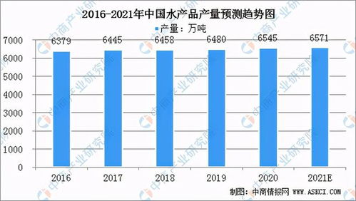 长春功能性纺织品批发市场概览