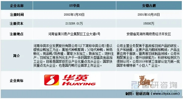 安徽针纺织品牌排行榜，深度解析与案例分析