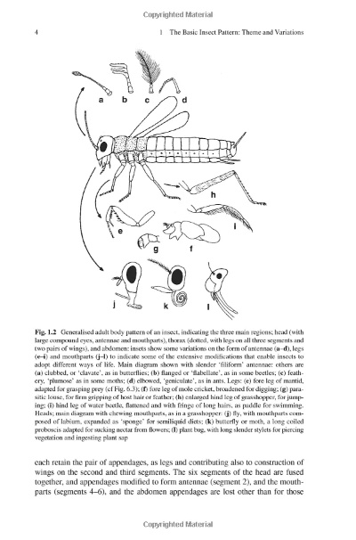 Strategies for Preventing Insects in Textiles