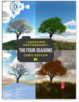 The Dynamic Landscape of Textiles in Baicheng County,Xinjiang