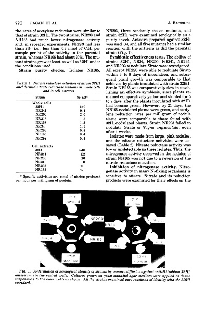 Measurement of Nitrogen Emission from Textiles