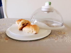 纺织品煮练实验目的