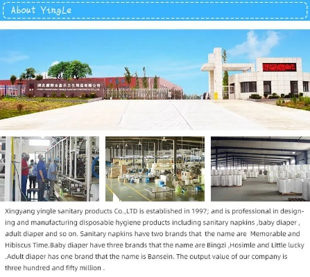 The Legacy and Innovation at Henan Sui County Textile Factory