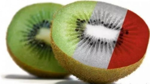 High Yang Love Fruit Textiles Recruitment Overview