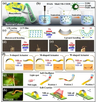 Multifunctional Nano-Textiles:新型纳米纺织品的应用与前景