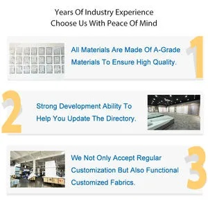 The Dynamics of the Jace Textile Industry