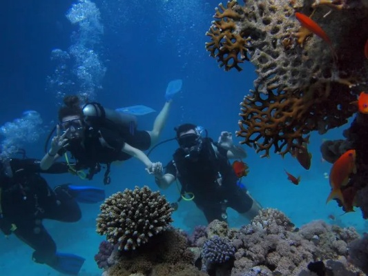 Is Diving Material a Type of Textile?