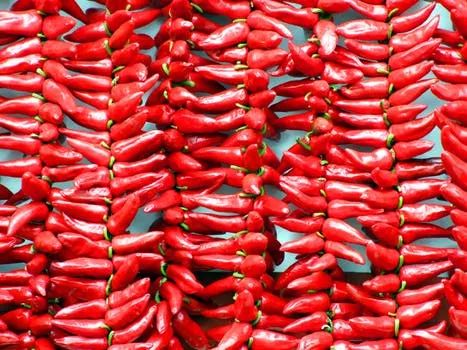 The Spicy Threads of麻辣纺织厂