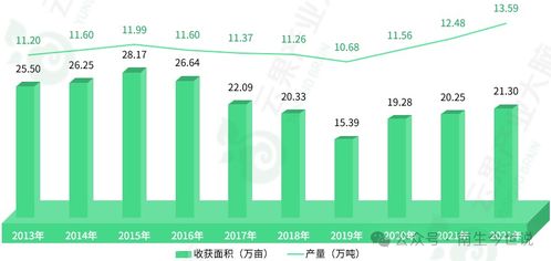 韩国纺织品进口案例分析