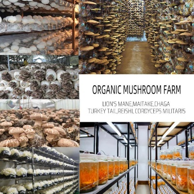 The Story of a Textile Manufacturing Plant
