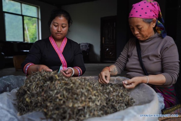 Ranking of Antimicrobial Textile Companies in Yunnan