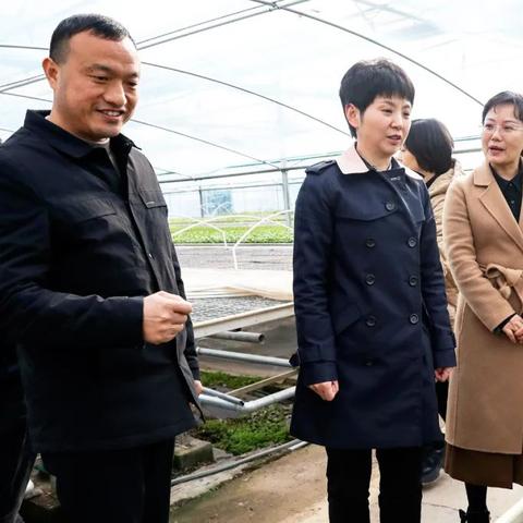 淮安库存纺织品回收项目报告