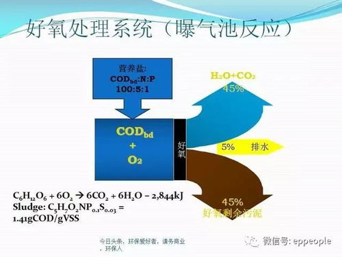 纺织品不含氟的环保处理策略