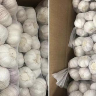 河南纺织品牌女装进货价分析