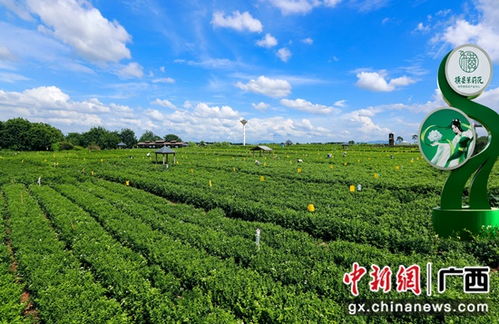 海岸纺织厂，绿色生态与高质量生产的融合之旅