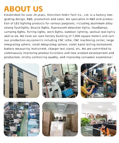 Expanding Horizons:A Call for Talent at Linggui Textile Factory