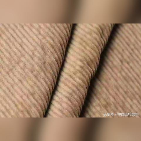 常州纺织品贸易公司案例分析
