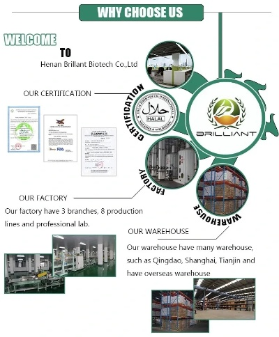 Understanding and Managing the Risks of Chemical Exposure in Textile Industry