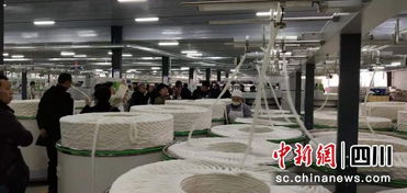 西班牙纺织厂，精湛工艺与绿色环保的完美融合