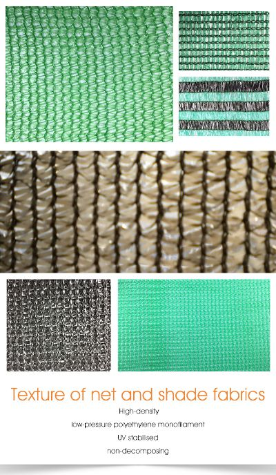 Embracing the Future of Green Textiles in Hainan
