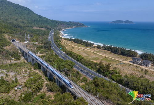 The Dynamic Landscape of Hainans Textile Industry A Comprehensive Analysis