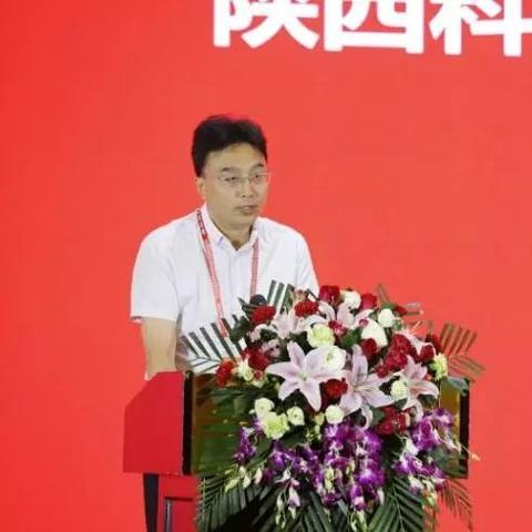 陕西品牌纺织品批发价格解析