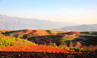 The Dynamic Landscape of Yunnan Textile Womens Apparel Brands