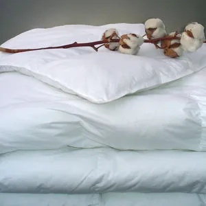 The Beauty of Textiles:The Case of Jincheng Cotton Bedding