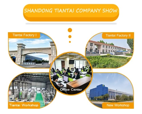 The Dynamics of the Hubei Tianhua Textile Factory