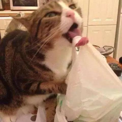 毛线和纺织品的区别与选择指南