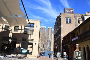 Exploring the Global Market with Han Dian Textiles in Inner Mongolia