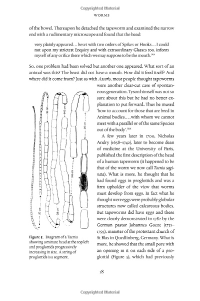 Understanding the Principal Characteristics of Wool:A Comprehensive Guide
