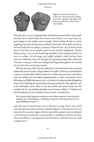 Understanding the Principal Characteristics of Wool:A Comprehensive Guide