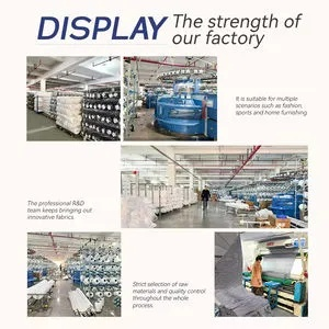 The Dynamics of Jibei Textiles Ltd.