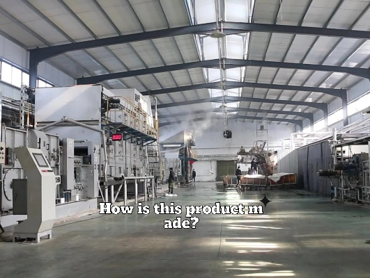 Nantong LanmuyíFilm Textile Industry:A Case Study