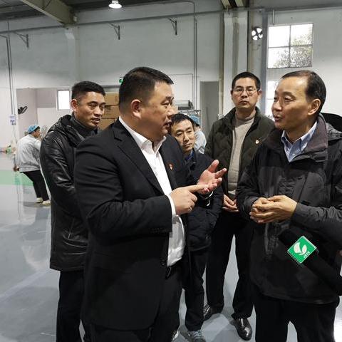 嘉兴纺织品平台，引领纺织新潮流