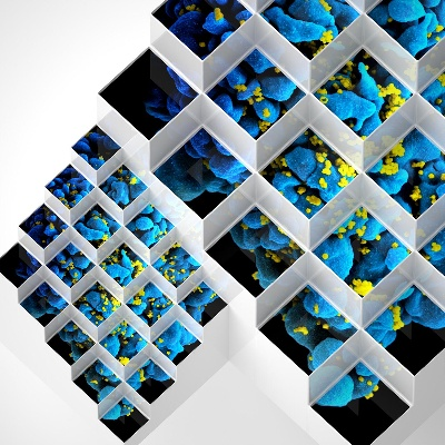 Crystalline Excellence:An In-depth Look at Crystal Optics Textiles