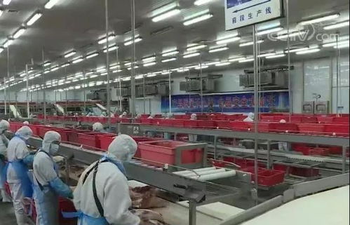 高温下的纺织厂，生产与挑战