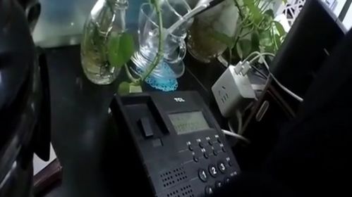 定州纺织品批发零售店电话查询