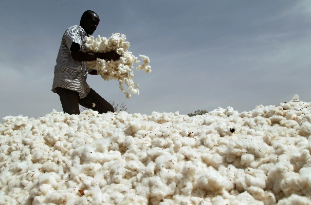 The Cotton Farm of Textile Mills