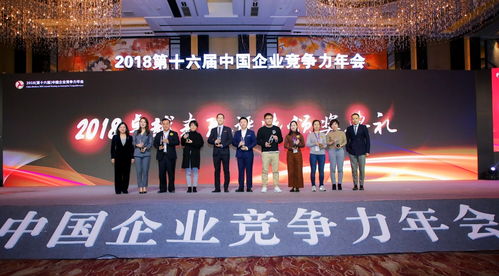 保定云瑞纺织品制造，品质与工艺的卓越体现