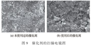 The Advanced Textile绒毛处理工艺