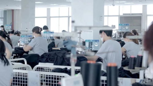 学徒纺织厂，探索纺织工艺的奥秘与实践