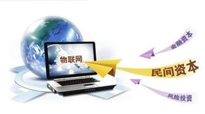 半透明纺织品，探索其应用与市场前景