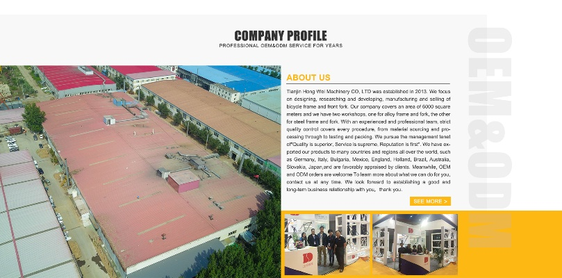 The Dynamics of Tianjin Hong Yin Textiles Co.Ltd.